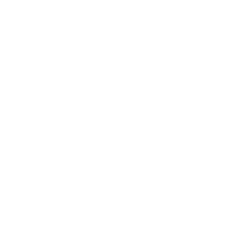 BMW logo