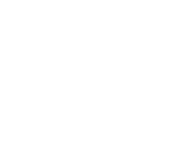 SehaOne logo